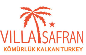 agent-logo